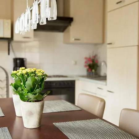 Schuttershuuske Apartament