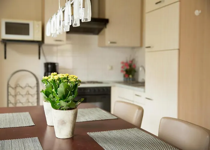 Schuttershuuske Apartamento